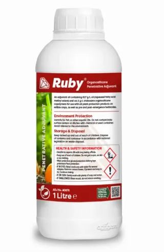 Ruby 1L